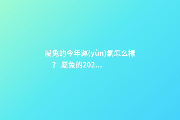 屬兔的今年運(yùn)氣怎么樣？ 屬兔的2021年運(yùn)勢(shì)如何，2021年屬兔人的全年運(yùn)勢(shì)如何？